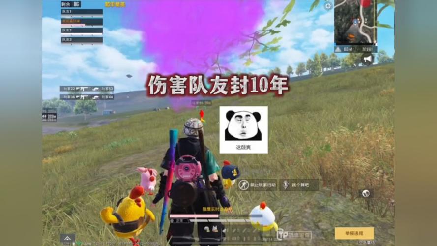 和平精英辅助【咪鸭容器直装】直播防录屏 漏打自瞄 人物透视 方框射线 人物距离 人物血条